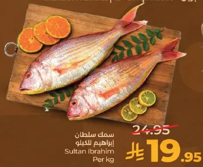 سمك سلطان ابراهيم للكيلو