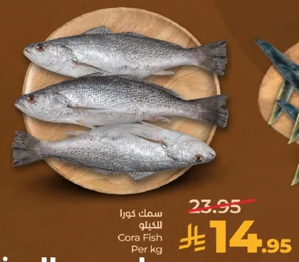 سمك كورا للكيلو