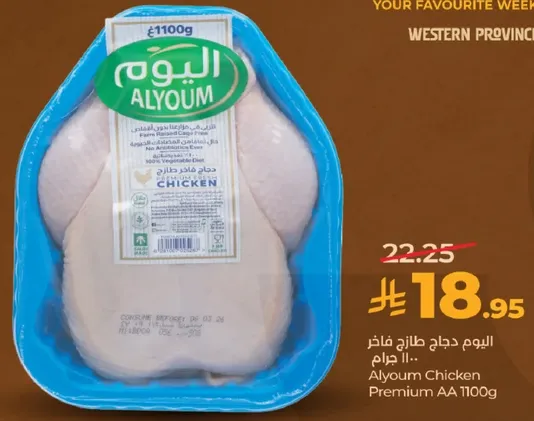 اليوم دجاج طازج فاتر 1100 جرام