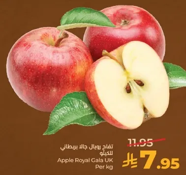 تفاح رويال جالا بريطانيا للكيلو