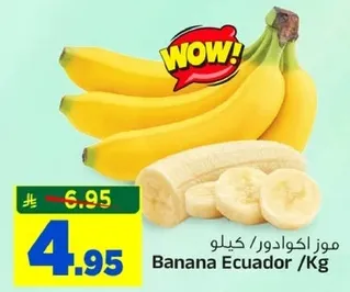 موز اكوادور / كيلوجرام.