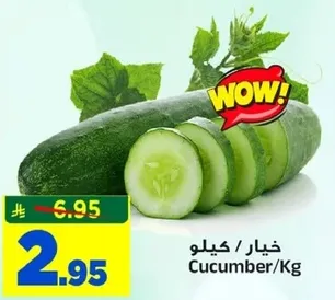 خيار / كيلوجرام