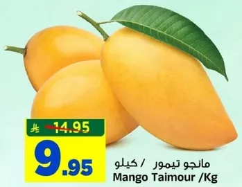 مانجو تيمور / كيلو