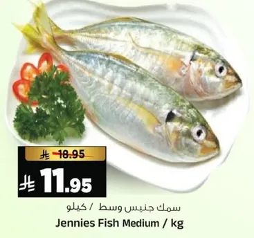 سمك جنينس وسط / كيلو
