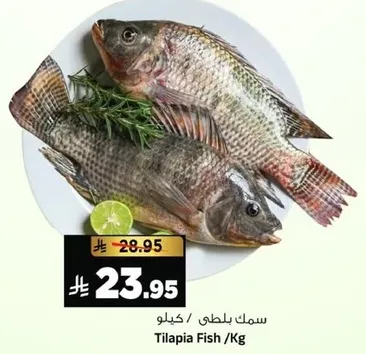 Tilapia Fish /Kg