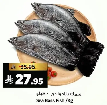 Sea Bass Fish /Kg