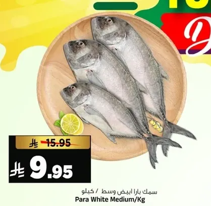 Para White Medium/Kg