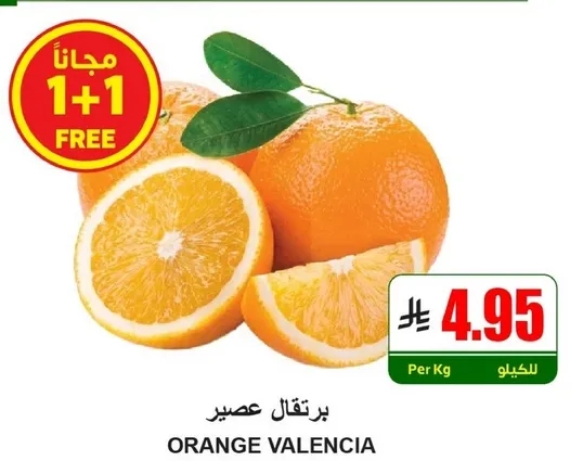 برتقال فالنيسيا