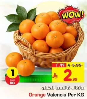 برتقال فانسيا للكيو