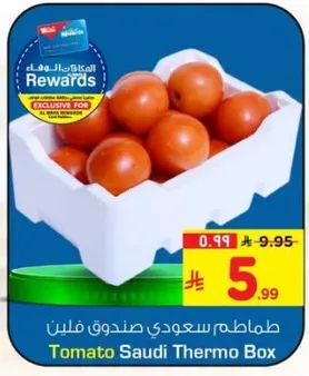 طماطم سعودي صندوق فليين