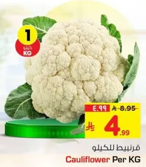 قرنبيط للكيو