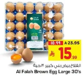 بيض بني كبير 30 حبه