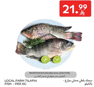 Local farm tilapia fish - per kg