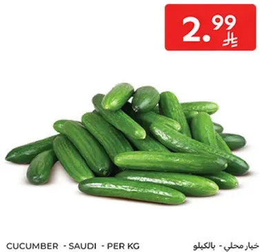 Cucumber - Saudi - Per KG