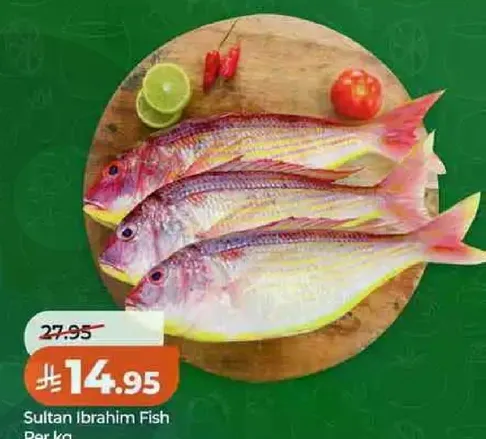 سمك سلطان ابراهيم لكل كيلو