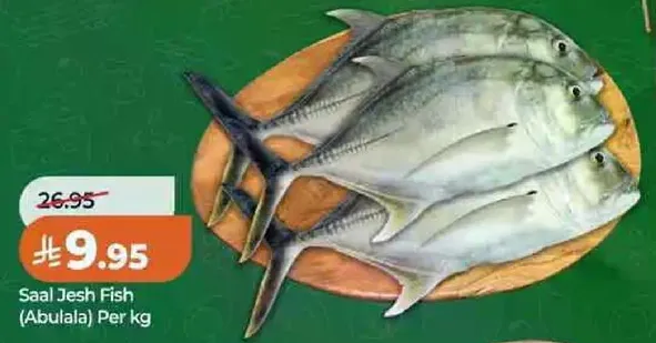 سمك سال جش (ابولالا) لكل كيلو