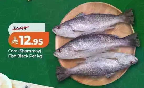 Cora (Shammay) Fish Black Per kg