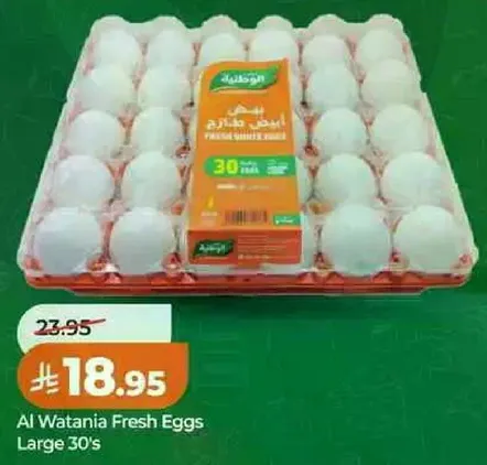 Al Watania Fresh Eggs Large 30's