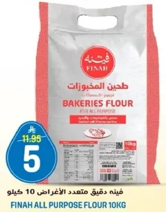 فينه دقيق متعدد الاغراض 10 كيلو