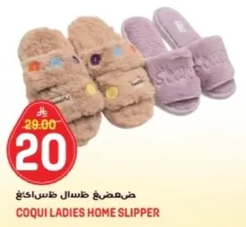 ضفدع ظلال خفيفه