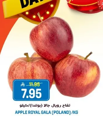 تفاح رويال جالا (بولندا) / كيلو