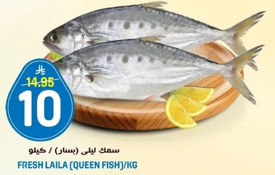 Fresh Laila (Queen Fish) per kg.