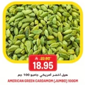 American Green Cardamom (Jumbo) 100g