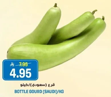 قرع (سعودي)/كيلو.