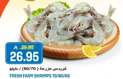 جمبري طازج مزرعه 70/80 كجم