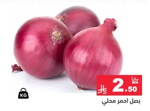 بصل احمر محلي