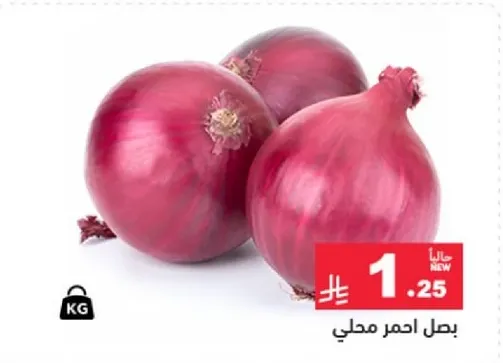 بصل احمر محلي