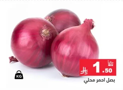 بصل احمر محلي.