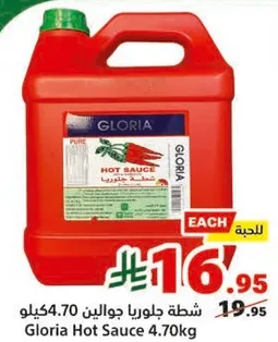 شطه جلوريا جولاين 4.70كيلو