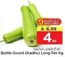 قرع طولي للخضار