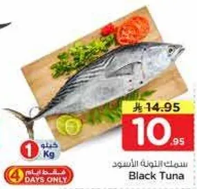 سمكه التونه السوداء