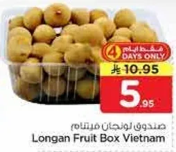 صندوق لوزجان فيتنام