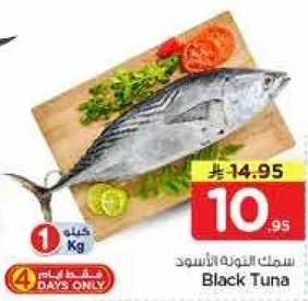 سمك التونه الاسود