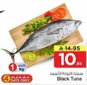 سمك التونه الاسود