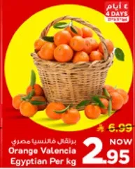 برتقال فالنسيا مصري لكل كيلو