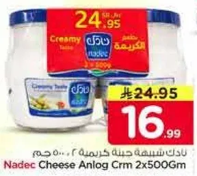 جبنه نادك شريحه كريمه 2x500جم