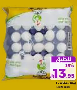بيض مقاس ل