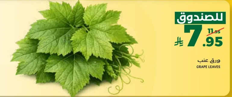 Grape Leaves