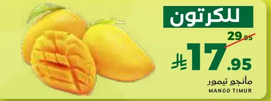 مانجو تيمور