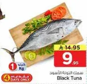 سمك التونه الاسود