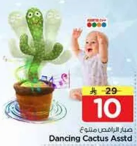 صبار الراقص متنوع