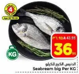 الدنيس الكبير للكيلو