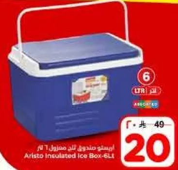 Aristo Insulated Ice Box 6L