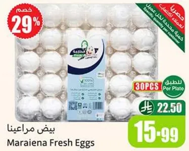 بيض مراعينا