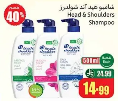 شامبو هيد اند شولدرز