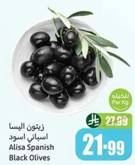 زيتون الاليسا اسباني اسود